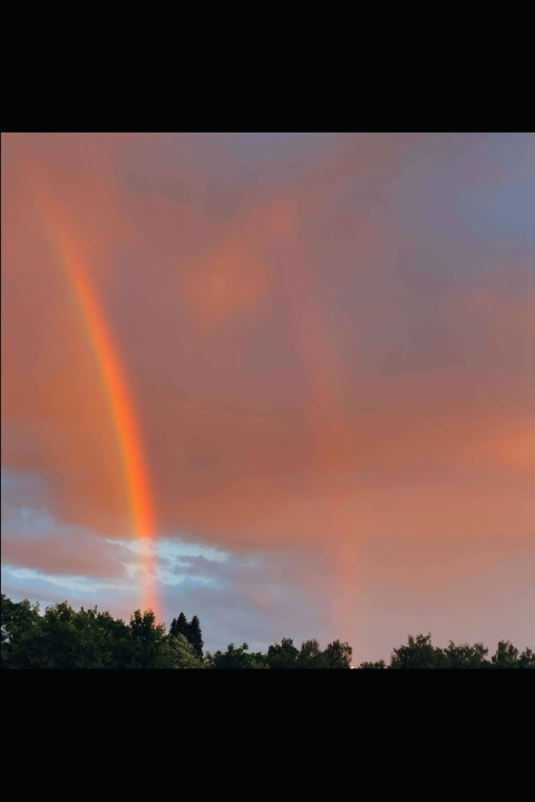Kniha Update Astrologie Patricia Schneebaum