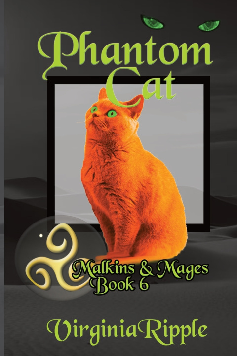 Kniha Phantom Cat Virginia Ripple