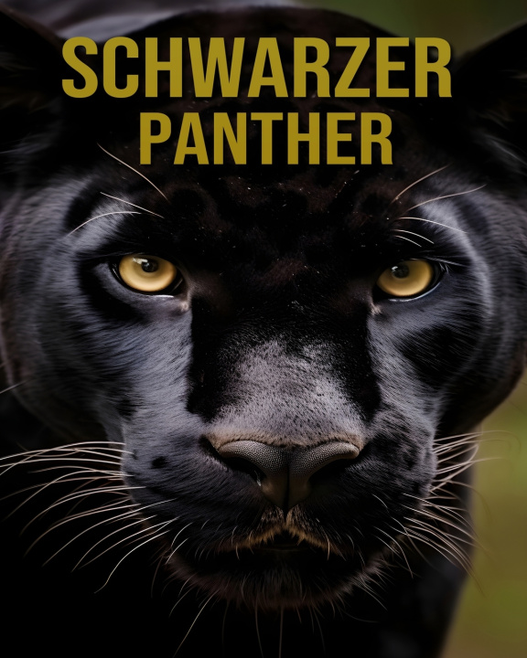 Könyv Schwarzer Panther Cassius Vale