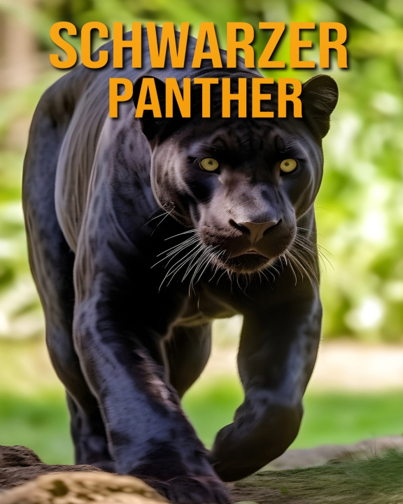 Kniha Schwarzer Panther Mira Nightingale