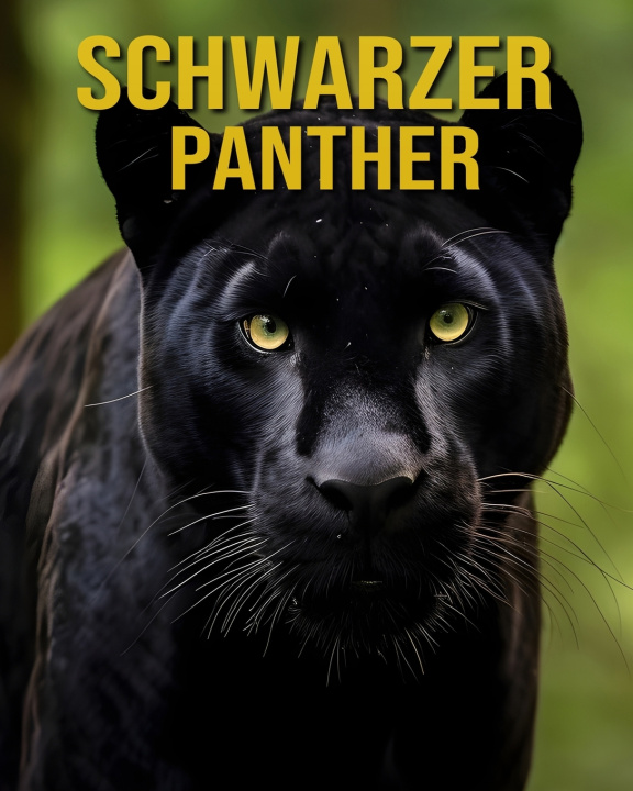 Kniha Schwarzer Panther Nico Ember