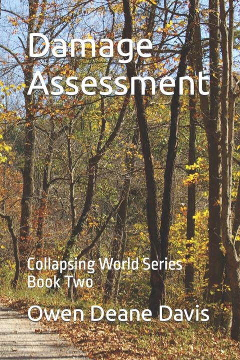 Kniha Damage Assessment Owen Deane Davis