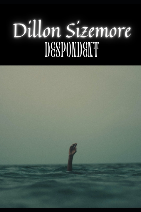 Kniha Despondent Dillon Sizemore