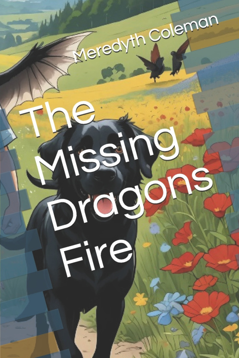 Kniha The Missing Dragons Fire Meredyth Coleman