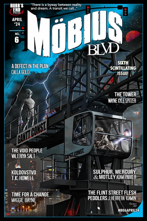 Könyv Mobius Blvd Maggie Bayne