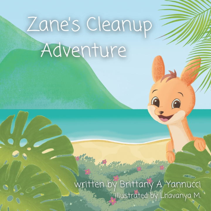 Kniha Zane's Cleanup Adventure Brittany A. Yannucci