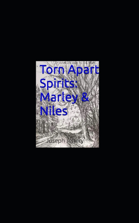 Kniha Torn Apart Spirits Joseph Jeffery