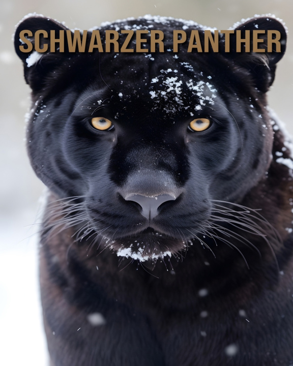 Kniha Schwarzer Panther Leo Quill