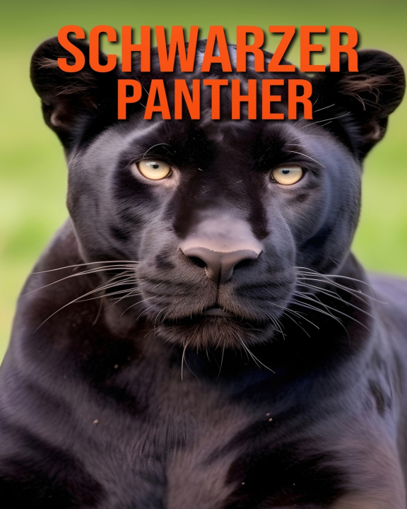 Kniha Schwarzer Panther Alessandro Volkmann