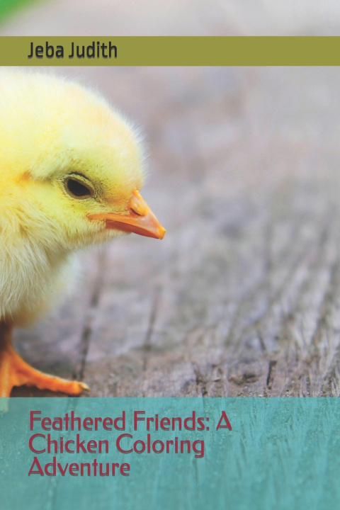 Kniha Feathered Friends Jeba Judith