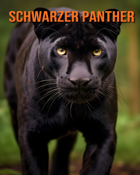 Könyv Schwarzer Panther Luca Diaz