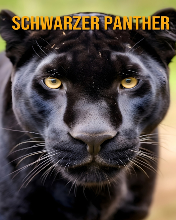 Knjiga Schwarzer Panther Antonio Richter