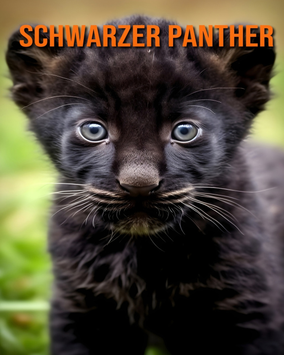 Kniha Schwarzer Panther Gabriella Hoffmann