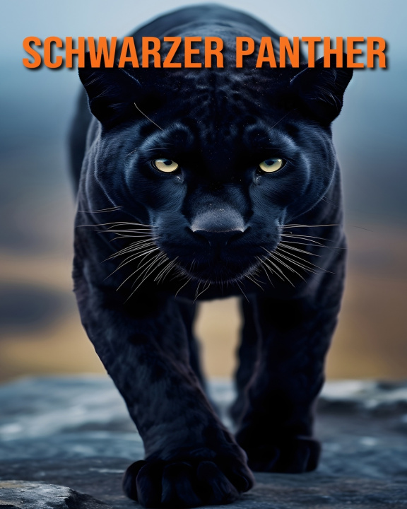 Boek Schwarzer Panther Stefan Ortega