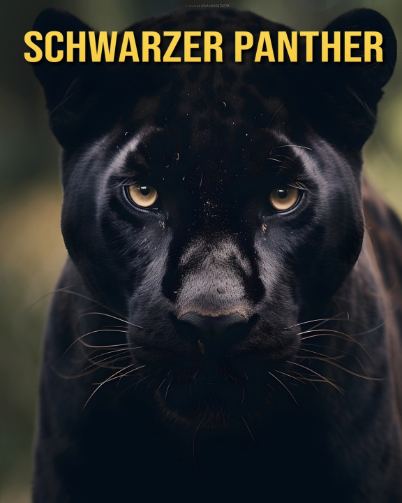 Kniha Schwarzer Panther Debbie Ziegler