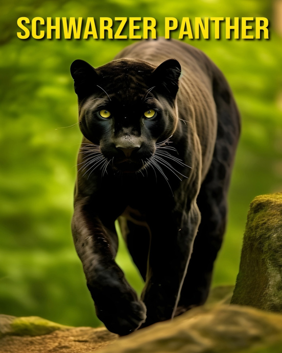 Buch Schwarzer Panther Susan Pharo