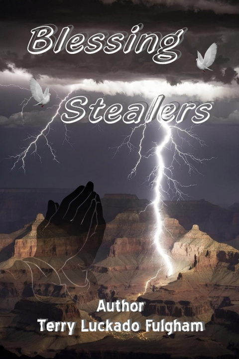 Knjiga Blessing Stealers Terry Luckado Fulgham