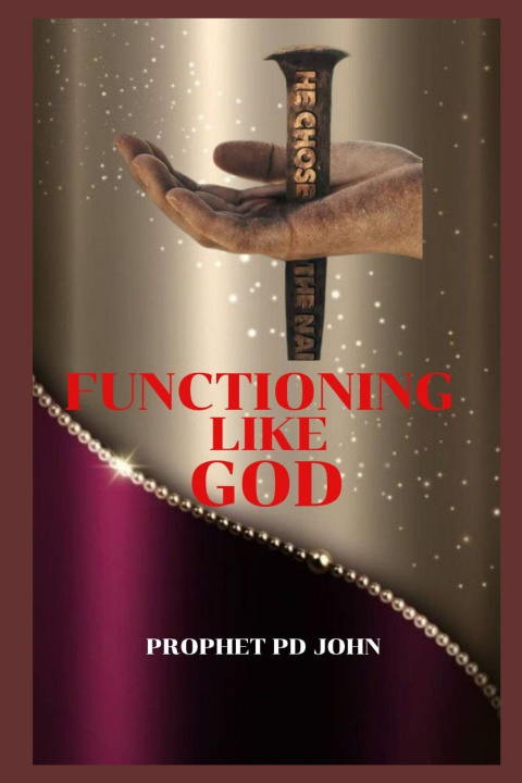 Könyv FUNCTIONING LIKE GOD Prophet Pd John