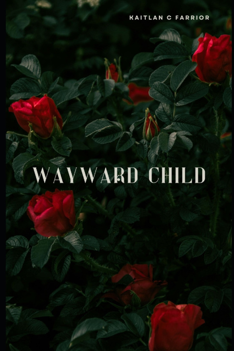 Knjiga Wayward Child Kaitlan C. Farrior