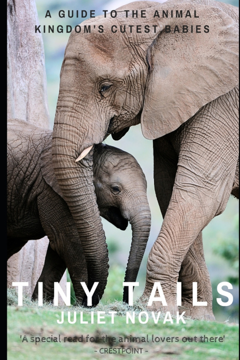 Kniha Tiny Tails Juliet Novak