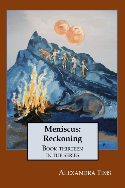 Kniha Meniscus Alexandra Tims