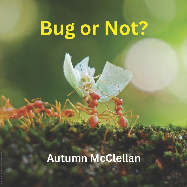Könyv Bug or Not? Autumn McClellan