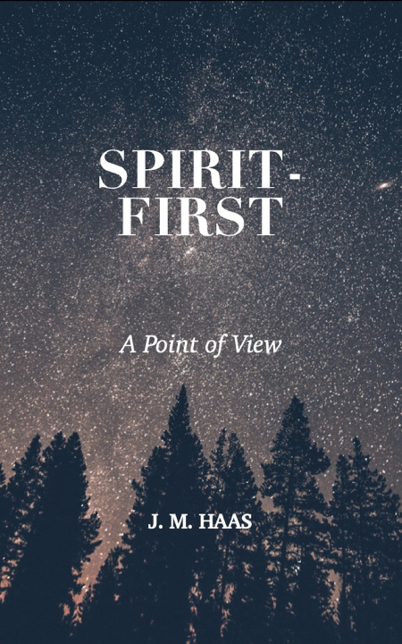 Knjiga Spirit-First J. M. Haas