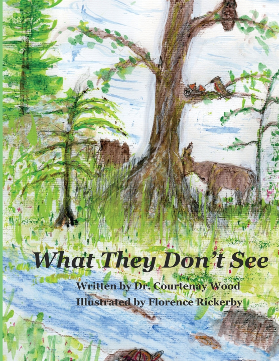 Book What They Don't See Courtenay Irene Wood