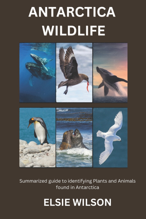 Knjiga Antarctica Wildlife Elsie Wilson