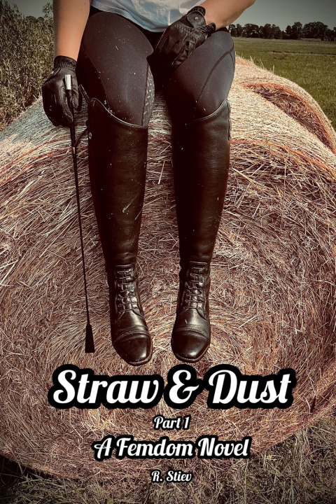 Kniha Straw and Dust R. Stiev