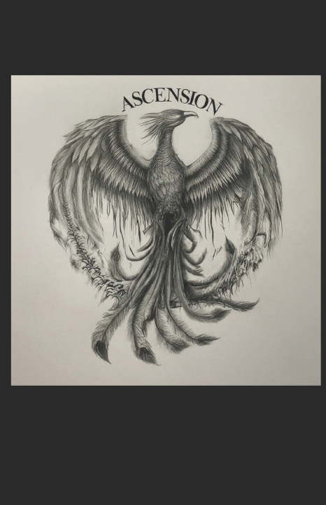 Knjiga Ascension Bryan Hetzel