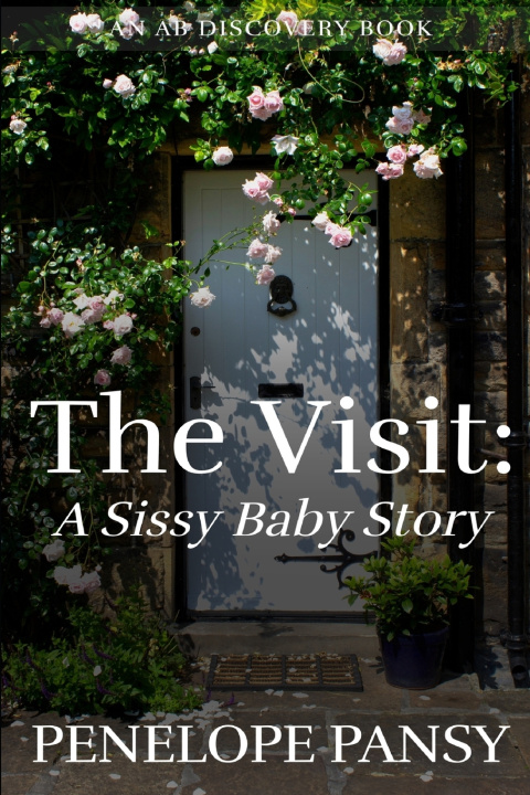 Kniha The Visit Penelope Pansy