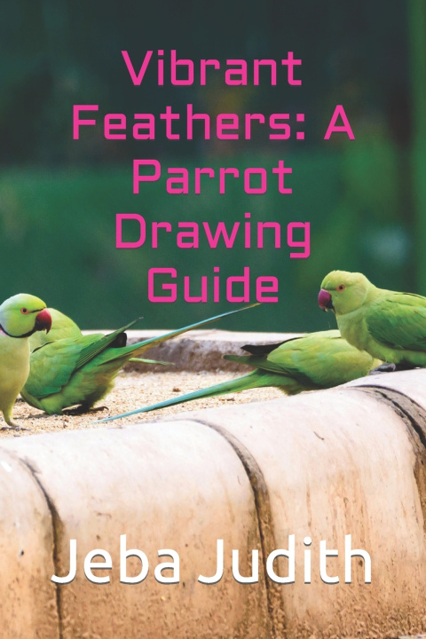 Kniha Vibrant Feathers Jeba Judith