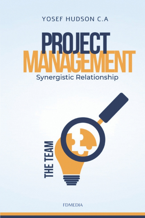 Kniha Synergistic relationship Yosef Hudson C.A