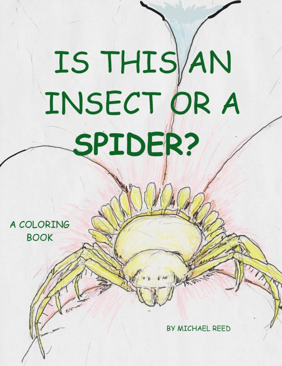 Kniha Is This an Insect or a Spider Michael Reed