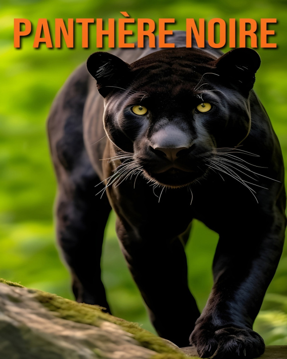 Kniha Panthère Noire Raine Hawthorn