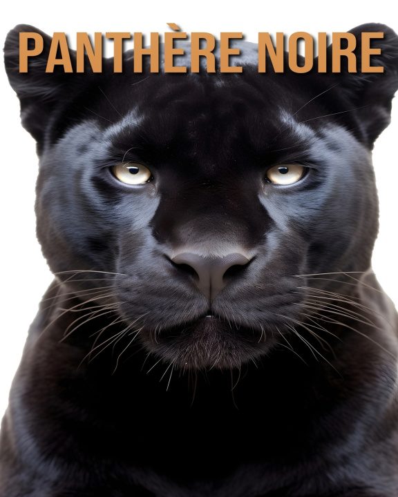 Kniha Panthère Noire Tristan Fairwood