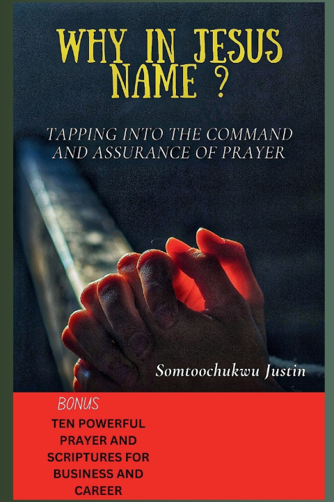 Könyv WHY IN JESUS NAME ? Somtoochukwu Justin