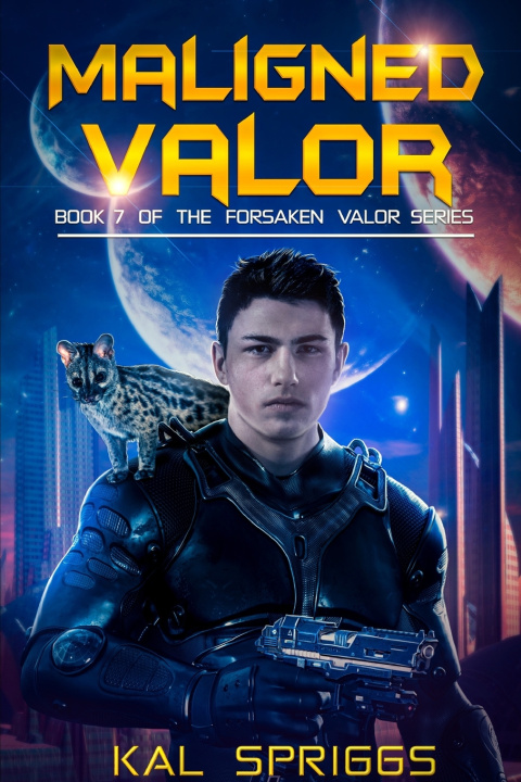 Könyv Maligned Valor Kal Spriggs