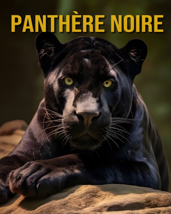 Kniha Panthère Noire Celeste Raven