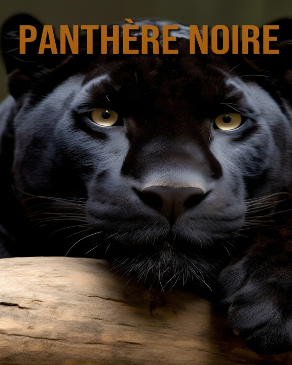 Kniha Panthère Noire Vivienne Ash