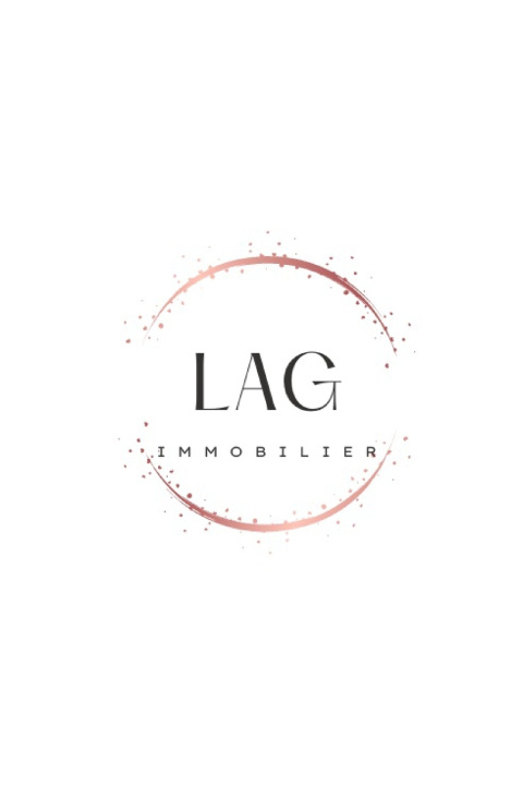 Kniha La stratègie immobilière pour les CSP+ LAG. Immobilier