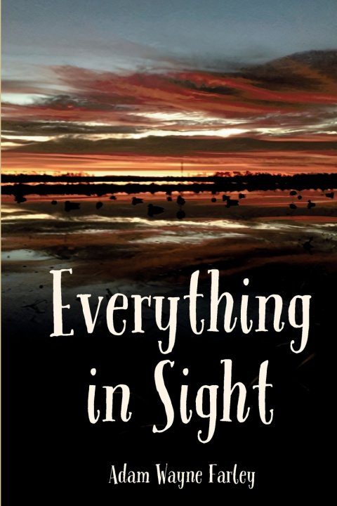 Knjiga Everything in Sight Adam Wayne Farley