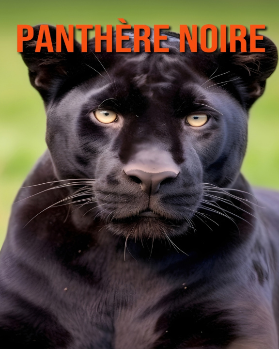 Knjiga Panthère Noire Alessandro Volkmann