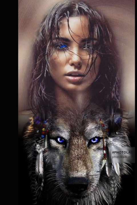 Kniha RIDLEY...NEW GENERATIONS Judith J Collier