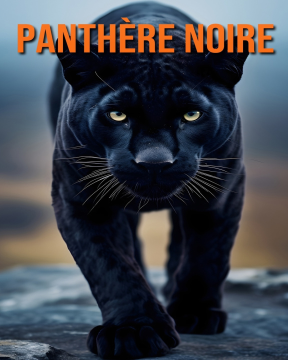 Kniha Panthère Noire Stefan Ortega
