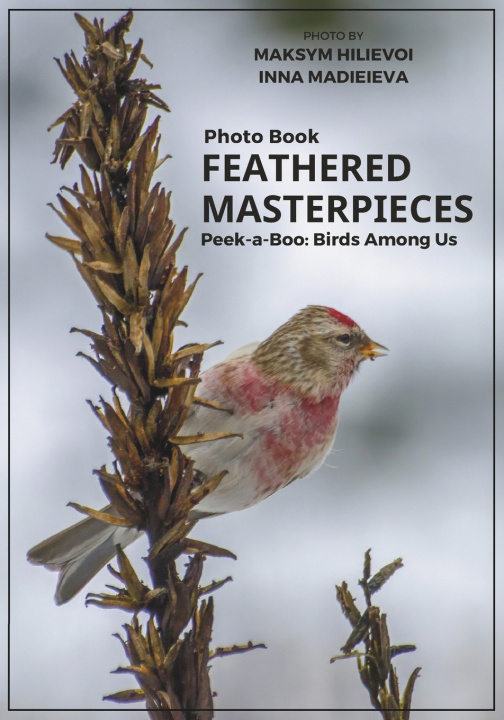 Książka Photo Book Feathered Masterpieces Inna Madieieva