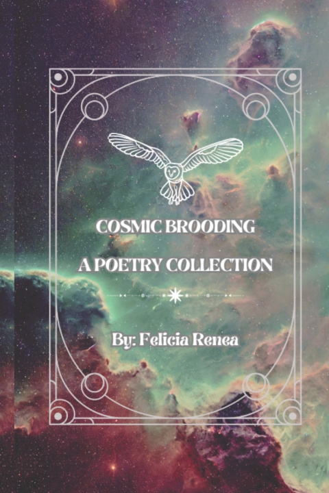 Kniha Cosmic Brooding Felicia Renea