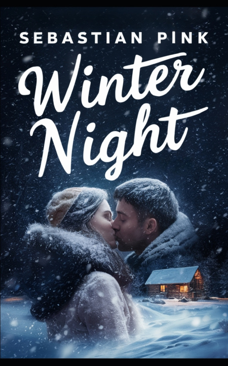 Knjiga Winter night Sebastian Pink