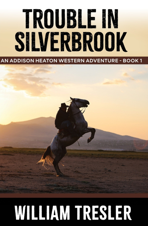 Kniha Trouble in Silverbrook William Tresler